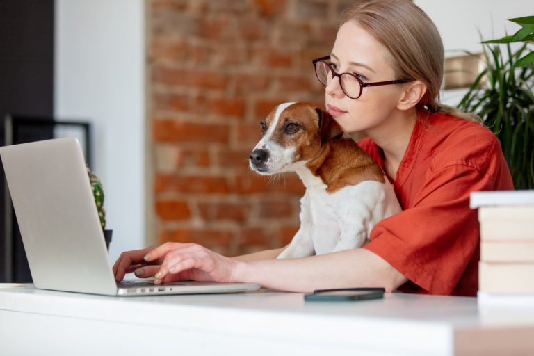 Video conference dog training in NJ